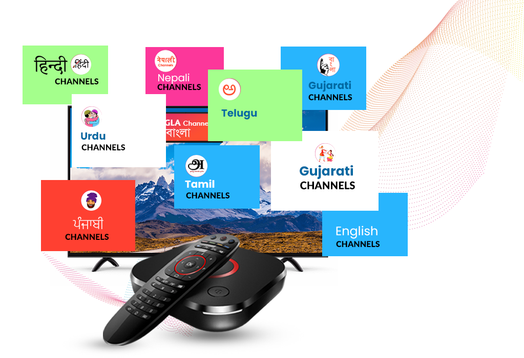 Hindi Channels, English Channels, Punjabi Channels, Urdu Channels, Bangla/ Bangali Channels, Kannada Channels, Malayalam Channels, Gujarati Channels, Nepali Channels, Telugu Channels, Tamil Channels Hindi Channels, English Channels, Punjabi Channels, Urdu Channels, Bangla/ Bangali Channels, Kannada Channels, Malayalam Channels, Gujarati Channels, Nepali Channels, Telugu Channels, Tamil Channels